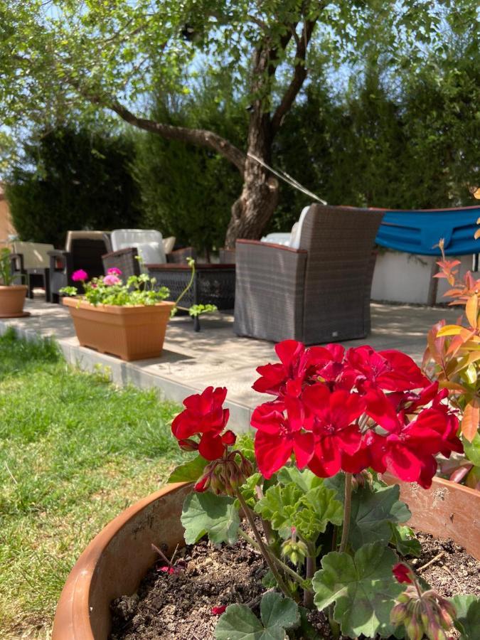 Safak Apart & Hotel Dalyan Εξωτερικό φωτογραφία
